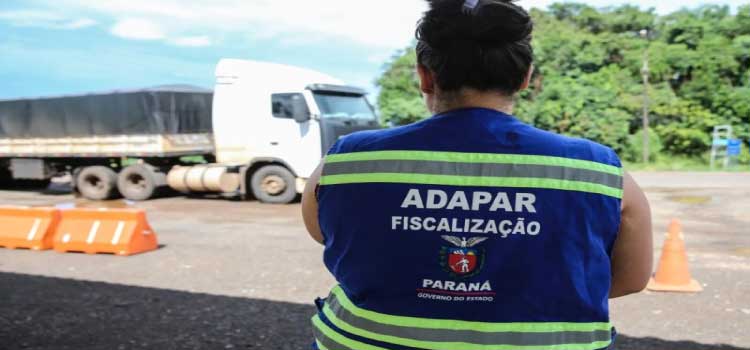 PECUÁRIA: Adapar mantém busca ativa e alerta para necessidade de cadastramento de rebanhos.