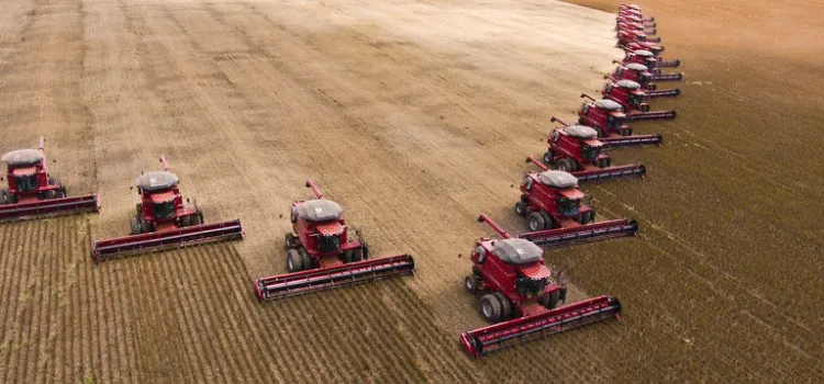 PIB do setor agropecuário apresentou crescimento de 2% em 2020
