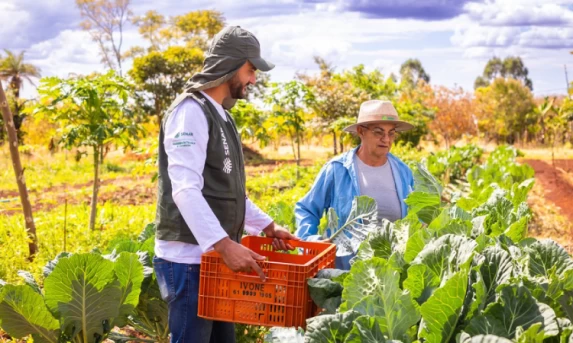 Plano Safra 25/26 da Agricultura Familiar terá R$ 78,2 bi e juros mais altos