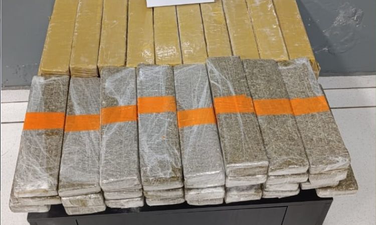PM apreende 48 kg de maconha em ônibus na rodoviária de Laranjeiras do Sul; duas mulheres foram presas