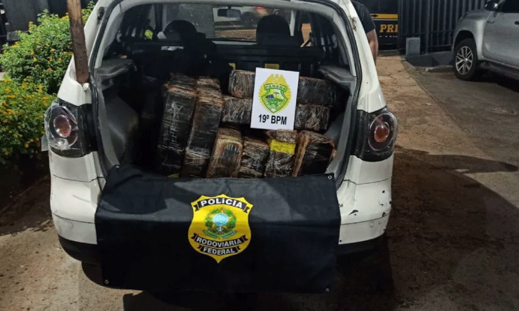 Polícia apreende 341 quilos de maconha e recupera veículo furtado em ação conjunta em Toledo