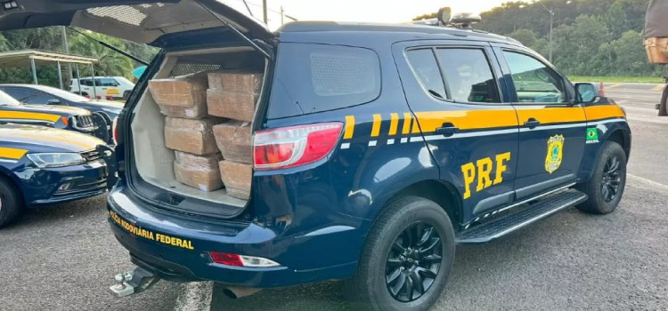 POLICIAL: Mais de 230 kg de carne irregular são apreendidos em Guarapuava.