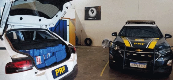 POLICIAL: PRF apreende mais de meia tonelada de maconha no Paraná.