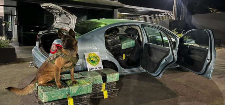 POLICIAL: Quase 500 kg de Maconha é apreendida de em Ouro Verde do Oeste.