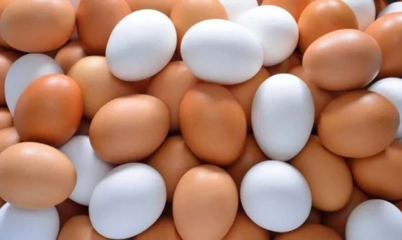 Preço dos ovos pode cair no Brasil após queda nas exportações para os EUA