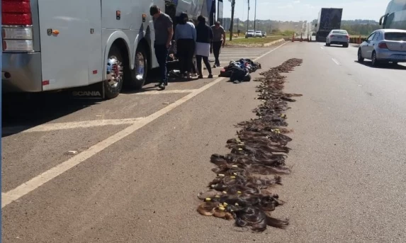 PRF apreende cabelos de origem estrangeira e medicamentos em ônibus na BR-277