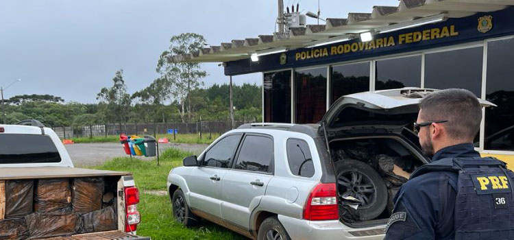 PRF apreende cerca de 1,7 tonelada de Camarão de origem estrangeira sem a devida refrigeração e higienização, em Guarapuava/PR.