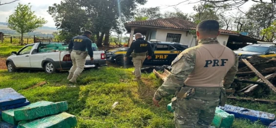 PRF descobre depósito de maconha em Santa Tereza D’oeste/PR.