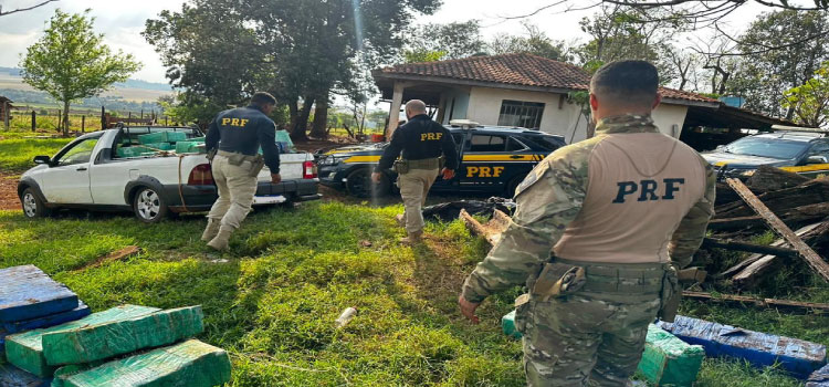PRF descobre depósito de maconha em Santa Tereza D’oeste/PR.
