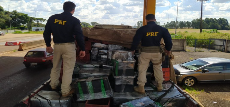 PRF faz a maior apreensão de maconha do Sul do Brasil em 2023.