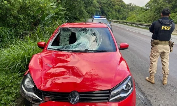 PRF prende trio que atropelou e matou pedestre na BR-277 no Paraná.