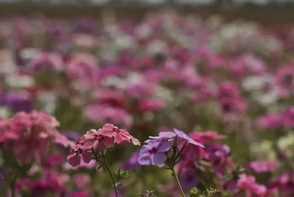 Primavera começa com frente fria, temporais e queda nas temperaturas
