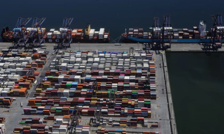 Exportações do Paraná para a União Europeia Batem Recorde e Somam US$ 4 Bilhões