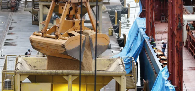 Safra de grãos deve ser recorde em 2021, diz IBGE