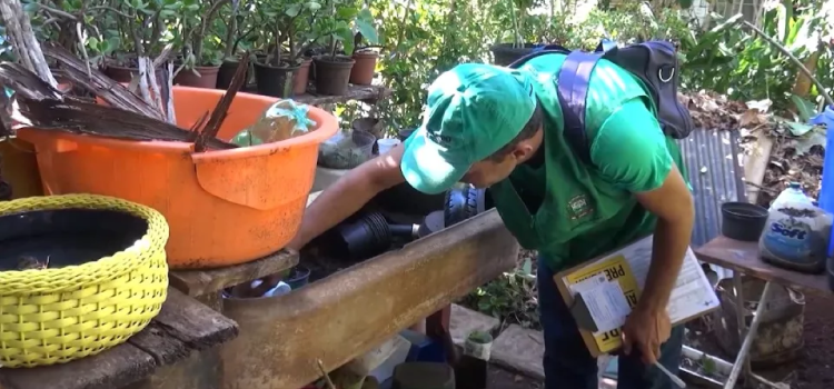 SAÚDE: Cascavel tem 25 casos positivos de dengue.