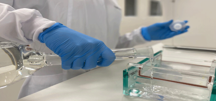 SAÚDE: Governo do Paraná apoia projeto de pesquisa em genética com foco na prevenção de doenças.