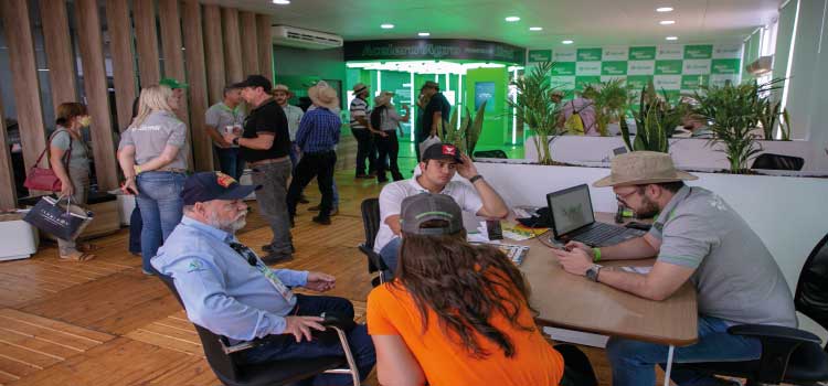 Sicredi na Agrishow 2022: visitação ao estande da segunda maior instituição financeira em crédito rural no Brasil superou as expectativas.