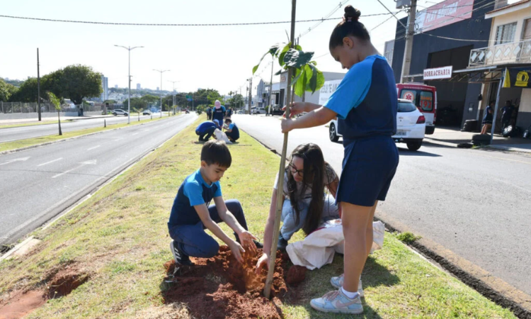 Sustentabilidade: Umuarama lançará projeto para plantar uma árvore a cada novo nascimento na cidade