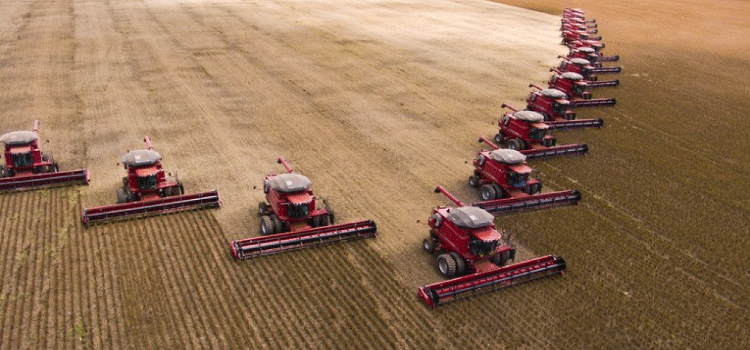 TOLEDO: Município deve ser mais uma vez destaque no que se refere a valor bruto da produção agropecuária.