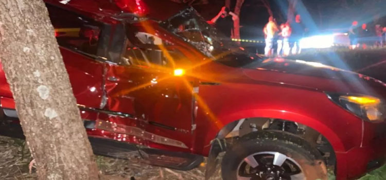 TRÂNSITO: Motorista de caminhonete morre após veículo atingir árvore na PR 239 em Ubiratã.