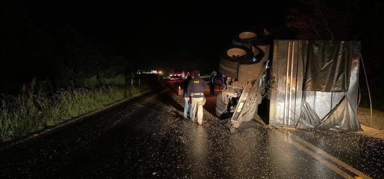TRÂNSITO: PRF atende acidente no KM 201 da rodovia BR 277 em Palmeira.