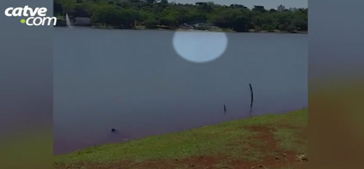Vídeo mostra homem pedindo socorro antes de desaparecer no Lago de Cascavel.