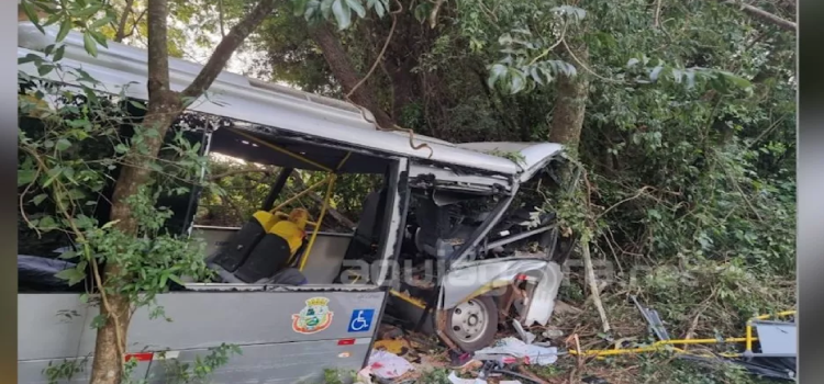 Vídeo mostra o momento que a Polícia localiza caminhoneiro suspeito de causar acidente com micro-ônibus em Marechal Cândido Rondon.